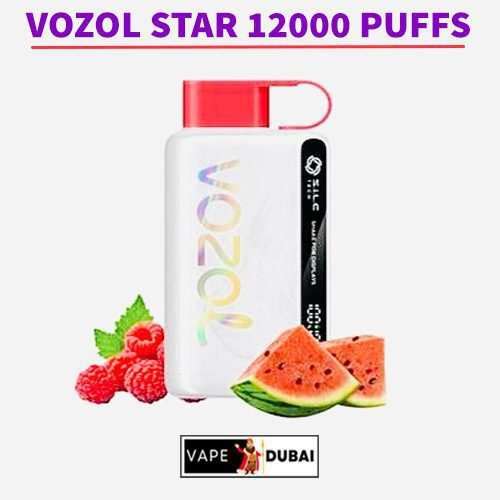 Vozol Star 9000 Puffs 1