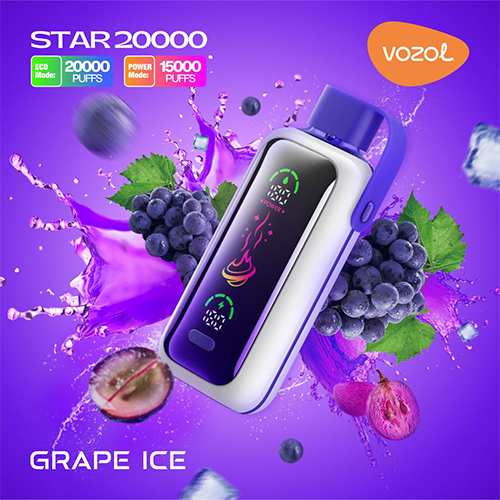 Vozol Star 20000 Puffs Disposable Vape In Vapekingdubai 1